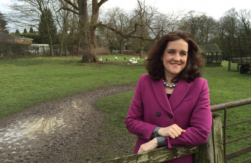 Theresa Villiers