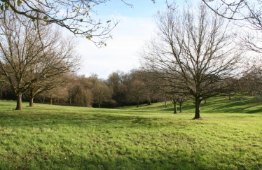 Hadley Common